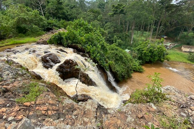 1 Day Jinja Day Trip and Source of R. Nile Tour - Mabira Forest