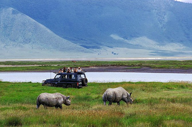 1 Day Joined Group Safari in Ngorongoro Crater National Park - Wildlife Spotting Opportunities