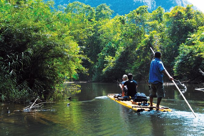 1 Day Khao Sok Jungle Safari and 2 Days Cheow Lan Lake Explorer From Krabi - Meeting and Pickup