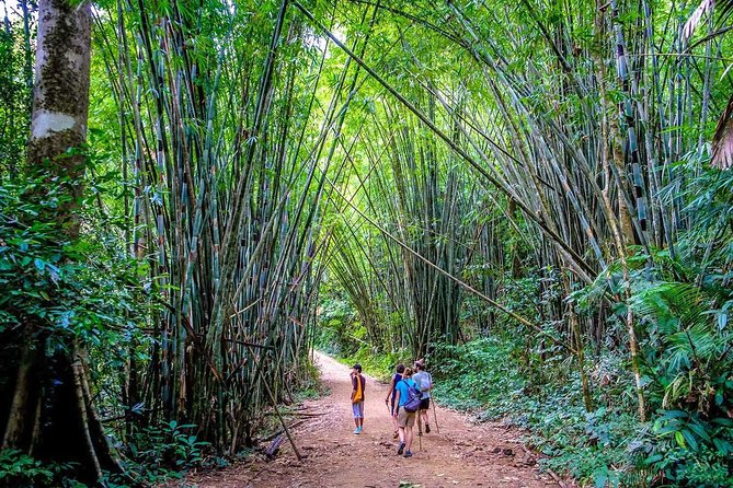 1 Day Khao Sok Jungle Safari and 2 Days Cheow Lan Lake Explorer From Krabi - Traveler Feedback and Ratings