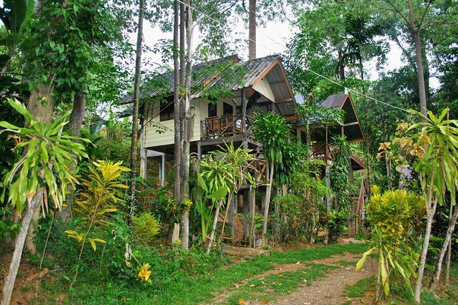 1 Day Khao Sok Jungle Safari and 2 Days Cheow Lan Lake Explorer From Krabi - Immersive Nature Experience