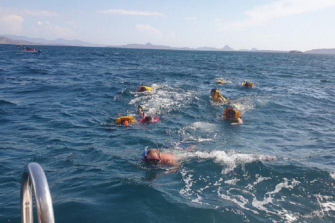 1- Day Komodo Island Hopping Tour by Speed Boat Departure From Labuan Bajo - Komodo Island Exploration