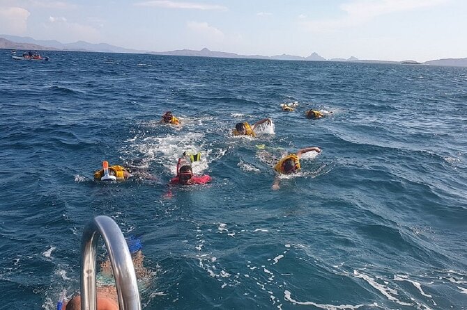 1- Day Komodo Island Hopping Tour by Speed Boat Departure From Labuan Bajo - Meeting and Pickup Details