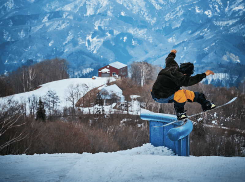 1-Day Lift Pass for 24 Ski Resorts (One Use per Resort) - Key Points
