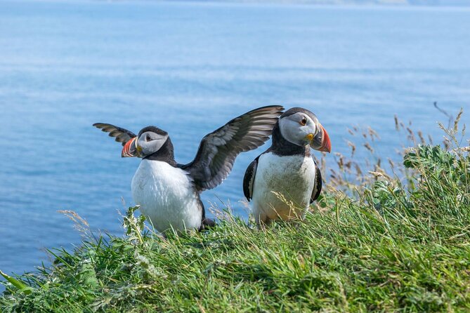 1-Day Moray Coast Tour With Speyside Whisky From Inverness - Key Points