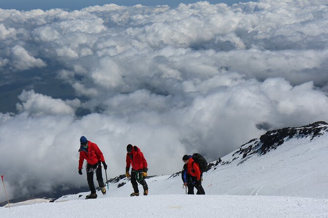 1 - Day Mount Kilimanjaro Hiking/Climbing via Marangu Route From Moshi or Arusha - Tour Overview