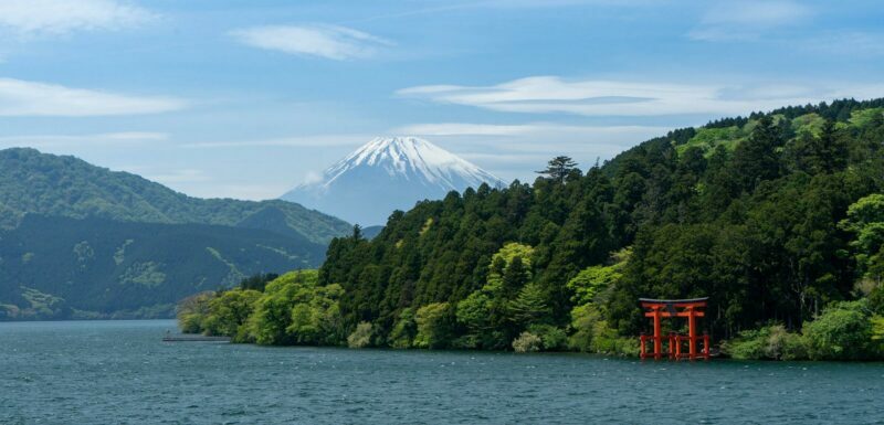 1-Day Mt Fuji and Hakone Sightseeing trip from Tokyo - Pricing & Value