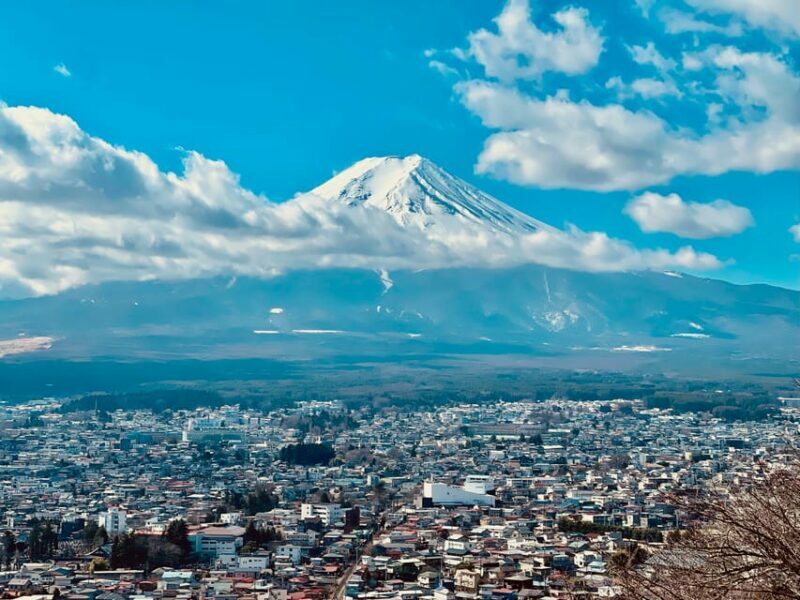 1-Day Mt Fuji and Hakone Sightseeing trip from Tokyo - Practical Tips for Travelers