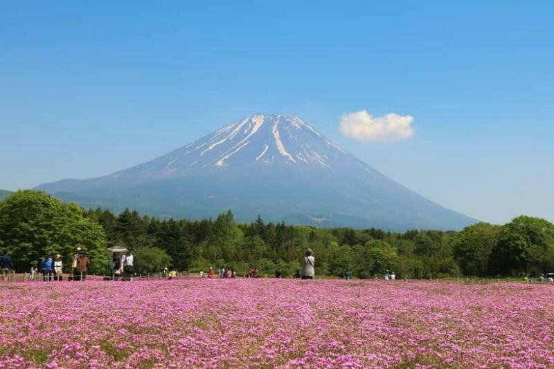1-Day Mt Fuji and Hakone Sightseeing trip from Tokyo - FAQ