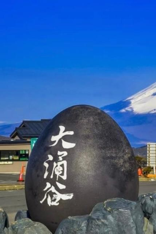 1 Day Mt Fuji Tour With Pick up and Drop off From Tokyo - Itinerary Overview