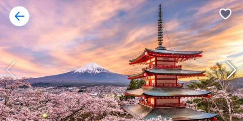 1 Day Mt Fuji Tour With Pick up and Drop off From Tokyo - Pick-up and Drop-off