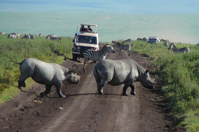 1 Day Ngorongoro Crater Group Jioning Safari - Itinerary Highlights