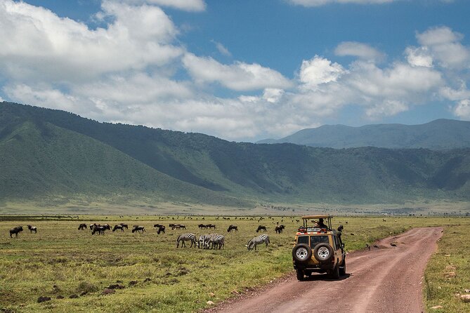 1 Day Ngorongoro Crater Group Jioning Safari - Pricing Information
