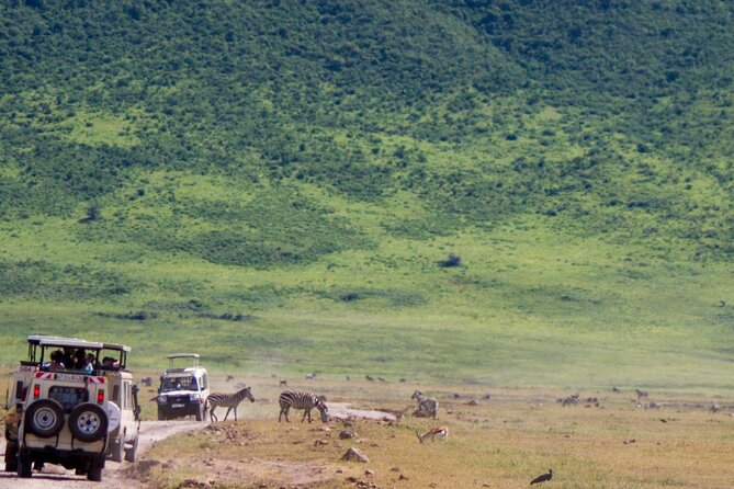 1 Day Ngorongoro Crater Group Jioning Safari - Why Choose Aquiline Safaris