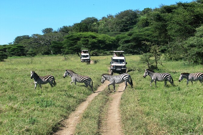 1-Day Ngorongoro Crater Group Safari - Pickup and Transportation