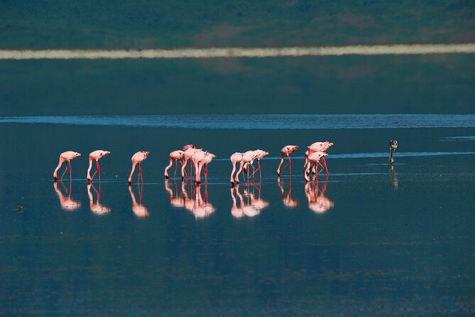 1-Day Ngorongoro Crater Group Safari - Included and Excluded