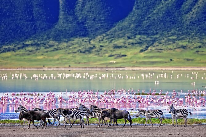 1-Day Ngorongoro Crater Group Safari - Accessibility and Restrictions
