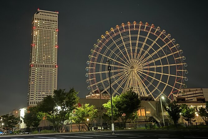1 Day Osaka Private Tour With English Speaking Guide - Culinary Delights of Osaka