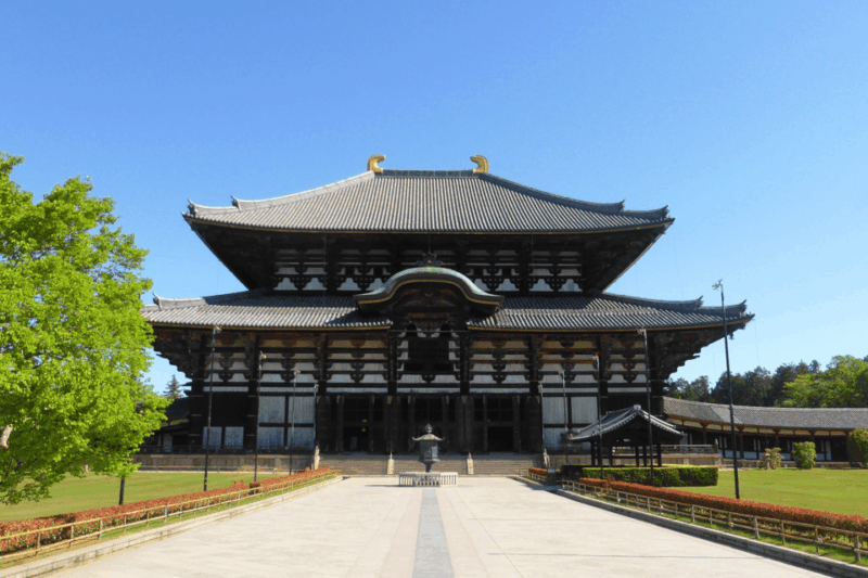 1 Day Osaka to Nara: Escape to Find Peace With Temple & Deer - Key Points