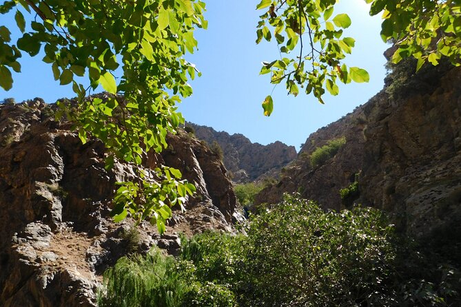 1 Day Ourika Valley Tour - Berber House Visit