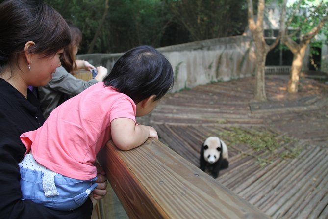 1-Day Panda Base and Huanglongxi Old Town Private Tour From Chengdu - Pickup and Transportation