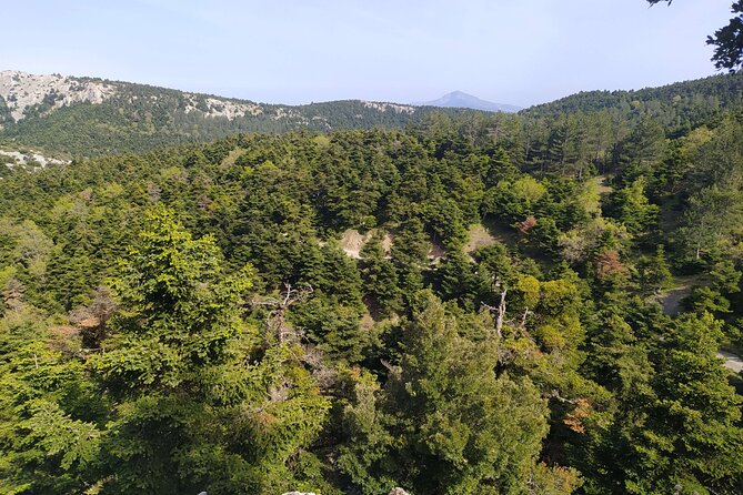 1 Day Parnitha Athens Private Hiking Tour - About Your Stay