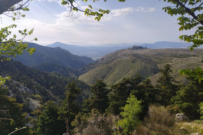 1 Day Parnitha Athens Private Hiking Tour - Customization and Experience