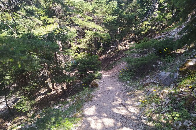 1 Day Parnitha Athens Private Hiking Tour - Booking Information