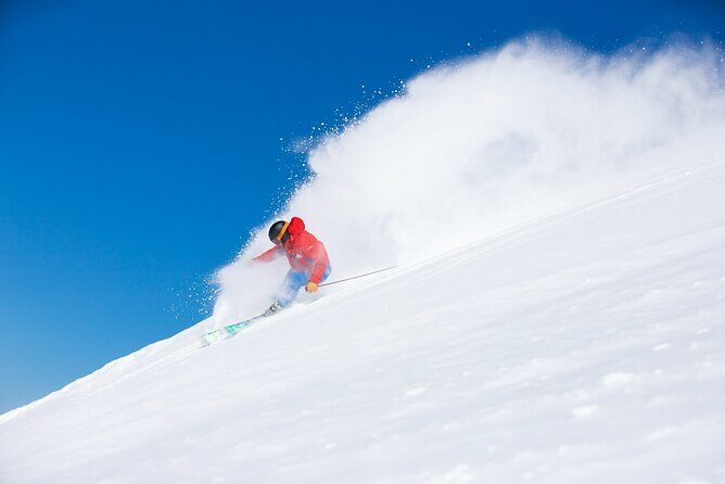 1 Day Perisher Snow Tour - Who Should Consider This Tour?
