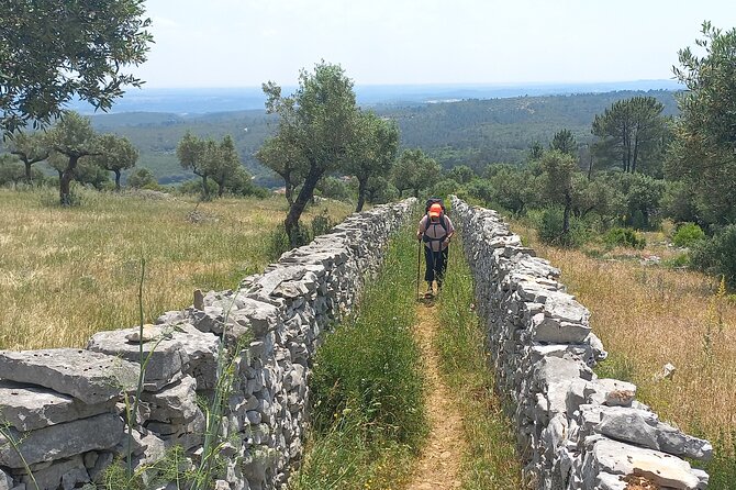 1 Day Pilgrimage Experience to Fátima - Cancellation and Payment Policy