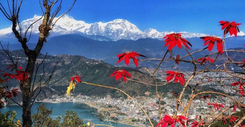 1 Day Pokhara Tour From Kathmandu by Flight - Itinerary