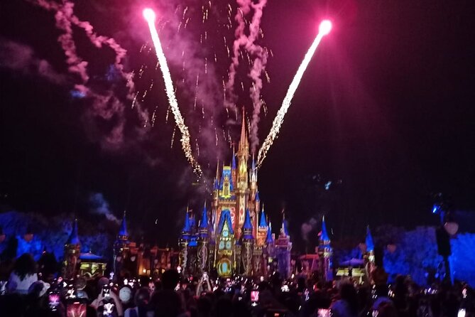 1 Day Private Advisor for Walt Disney World and Universal - Key Points
