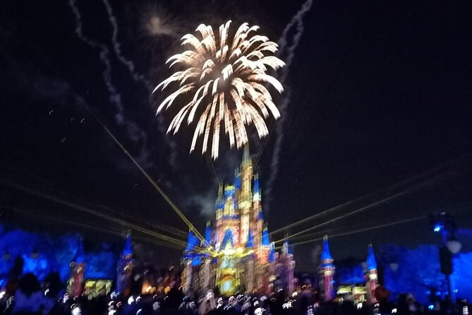 1 Day Private Advisor for Walt Disney World and Universal - Pickup Details