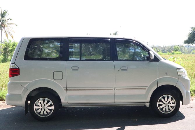 1-Day Private Bali Car Transfer With Experienced Driver - Excellent Customer Reviews