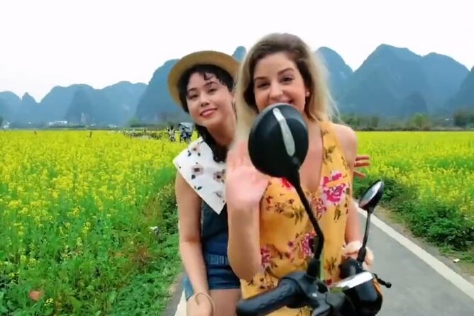 1 Day Private Car With English- Speaking Driver Service - Vehicle and Comfort
