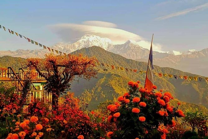 1-Day Private Dhampus Trekking Tour - Included in the Tour
