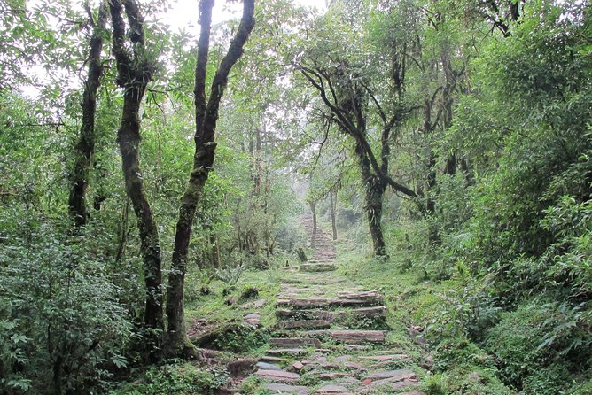 1-Day Private Dhampus Trekking Tour - Booking and Cancellation Policy