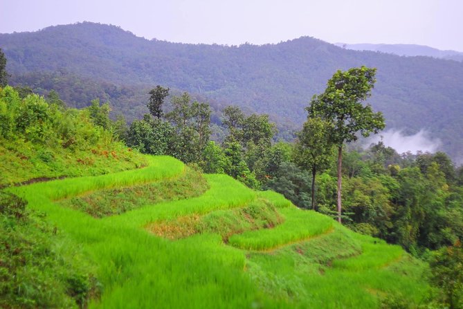 1 Day Private Eco-Trekking at Mae Sa Pok - Pricing and Reviews
