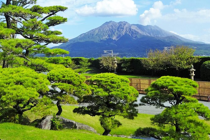 1-Day Private Kagoshima Tour by Car With a Professional Guide - Inclusions