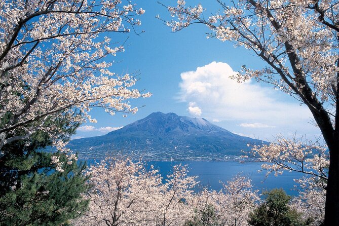 1-Day Private Kagoshima Tour by Car With a Professional Guide - Getting There and Getting Around