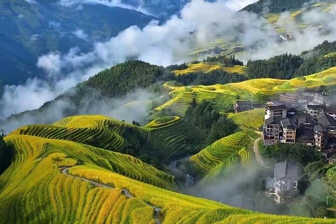 1-DAY Private Longji Rice Terraces and Minority Villages Tour - Operator Information