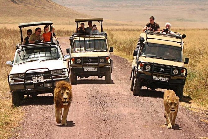 1 Day Private Ngorongoro Crater Safari - Meeting and Pickup