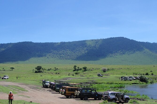 1 Day Private Ngorongoro Crater Safari - Expectation