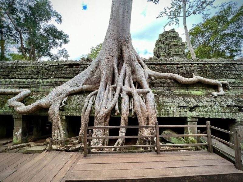 1 Day Private of Angkor Wat Tour With Tuk Tuk - Good To Know