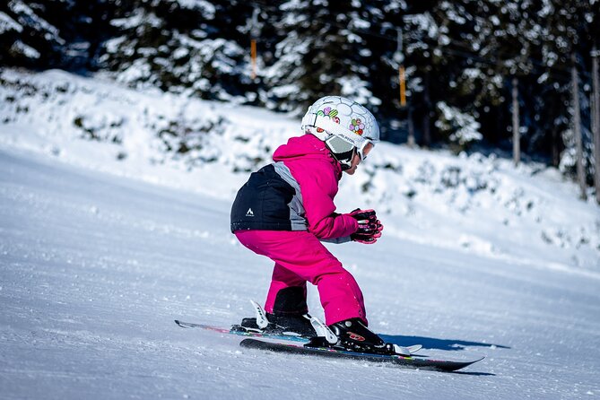 1-Day Private Ski Lesson From Tokyo With Mt. Fuji Sightseeing - Transportation and Amenities
