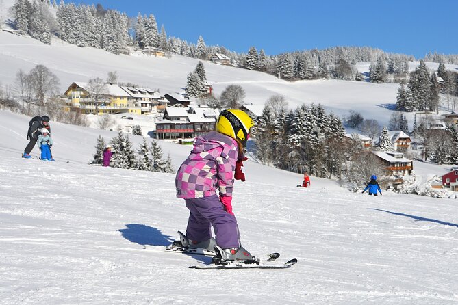 1-Day Private Ski Lesson From Tokyo With Mt. Fuji Sightseeing - Ski and Snowboard Equipment