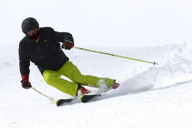 1-Day Private Ski Lesson From Tokyo With Mt. Fuji Sightseeing - Inclusions and Exclusions