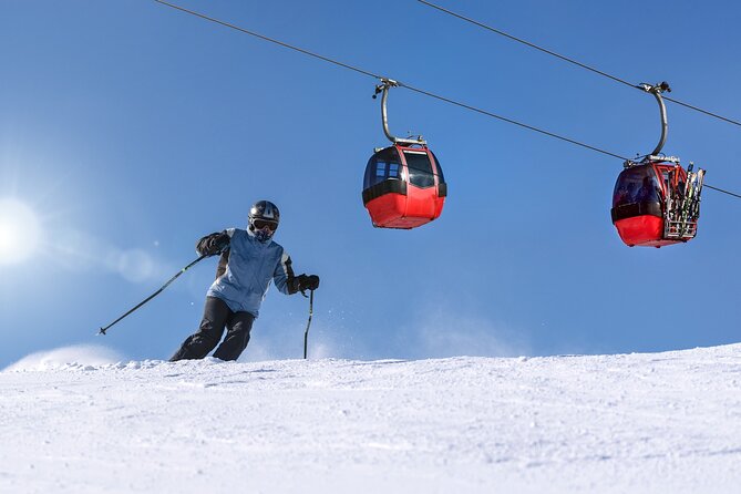 1-Day Private Ski Lesson From Tokyo With Mt. Fuji Sightseeing - Confirmation and Accessibility