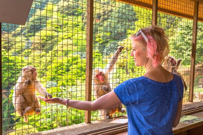 1-Day Private Snow Monkey ZenkoJi Temple & SakeTasting NaganoTour - Highlights of the Tour