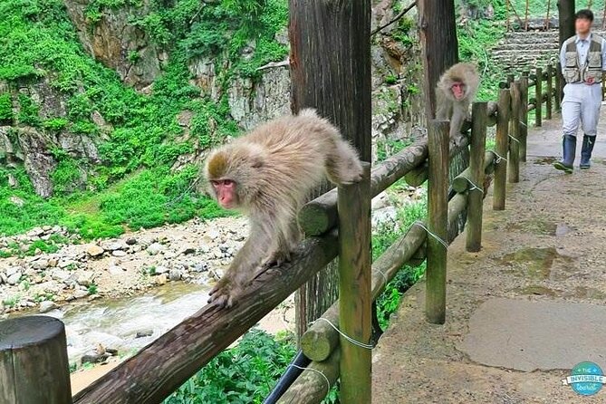 1-Day Private Snow Monkey ZenkoJi Temple & SakeTasting NaganoTour - Visiting Samon Gate